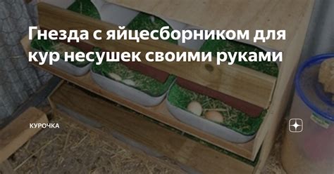 Подрядчики при сборе материалов для гнезда