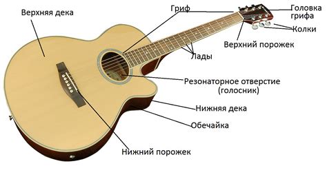 Позиционирование гитары и запись нот