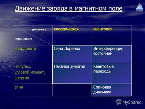 Поиск Лизы: переменная динамика