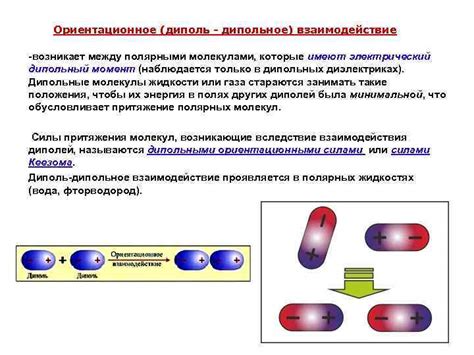 Полезное симбиозное взаимодействие