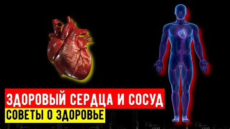 Полезные советы для сужения сосудов