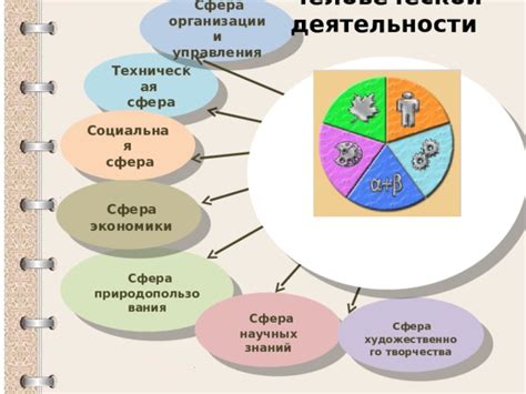 Польза от проектной деятельности: сотрудничество в решении реальных задач