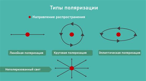 Поляризация электродов: определение и причины