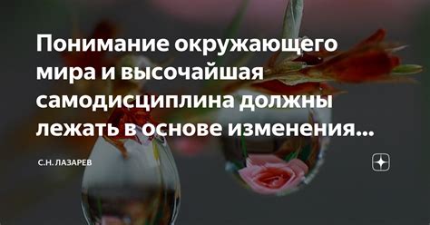 Понимание окружающего мира и его баланса