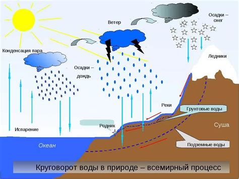 Понятие и значение осадков в природе