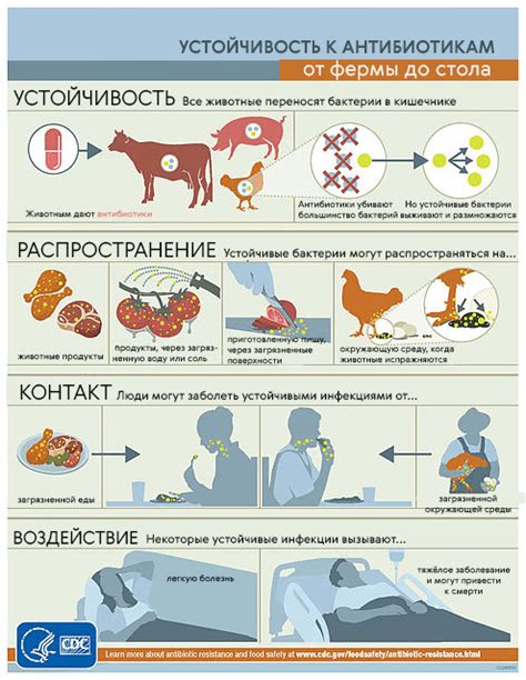 Попадание бактерий на мясо