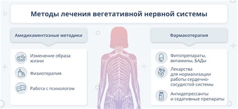 Последствия кислородного дефицита для нервной системы