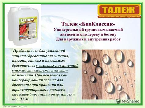 Последствия повышенной влажности древесины для строительных конструкций