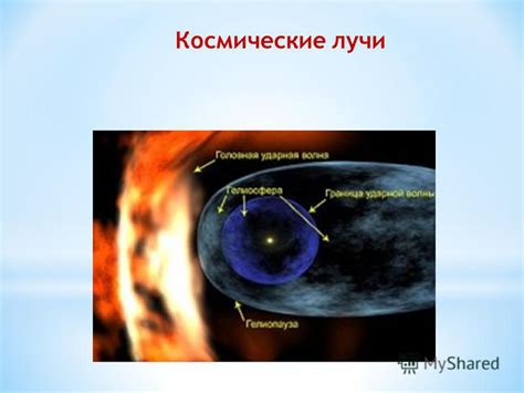 Постороннее воздействие на землю и его воздействие на состояние ботвы