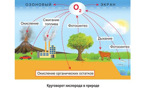 Постоянное обновление кислорода в атмосфере