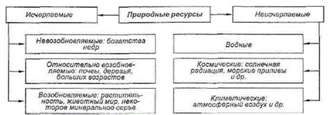 Потенциальные проблемы и риски оксониевых ониевых соединений в окружающей среде