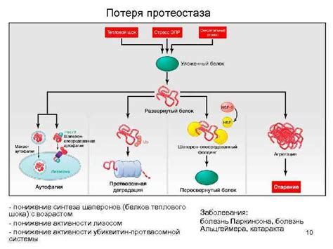 Потеря противоферментной активности