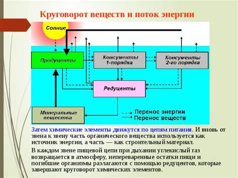 Потоки вещества: формирование вертикальной циркуляции