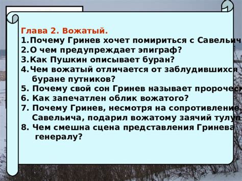 Почему "воровским" называется разговор вожатого с хозяином Гринев?