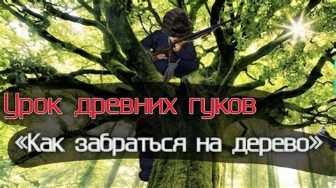 Почему Федя захотел забраться на дерево