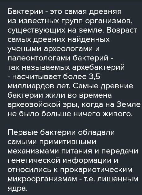 Почему бактерии сохранились в ходе эволюции