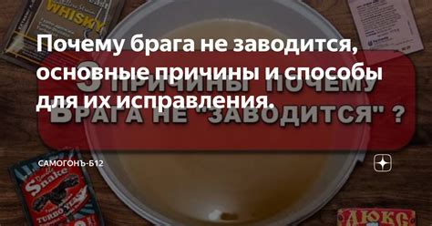 Почему брага превратилась в кисель