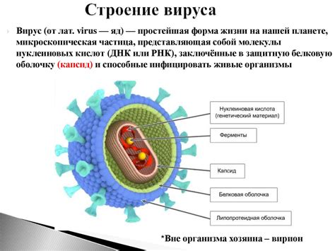 Почему вирусы зависят от клетки