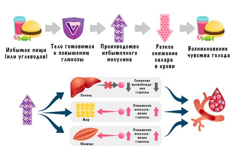 Почему возникает гипогликемия после приема пищи?