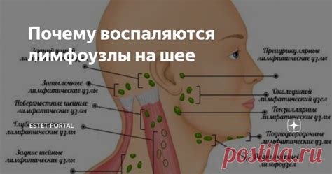 Почему возникают воспаленные лимфоузлы