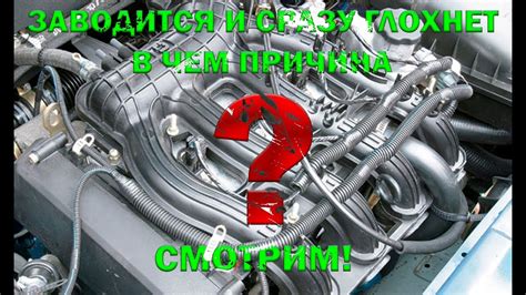 Почему машина заводится и сразу глохнет?