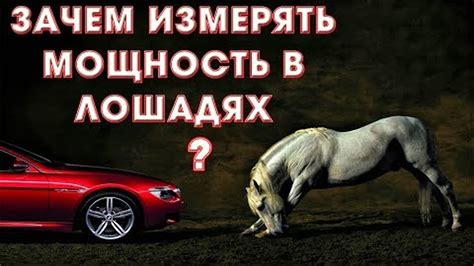 Почему мощность автомобилей измеряется в лошадиных силах