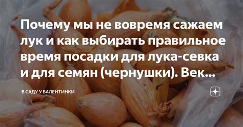 Почему необходимо выбирать правильное время для струевого душа?