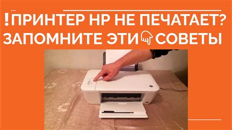 Почему не печатает принтер HP DeskJet 2130 с ноутбука