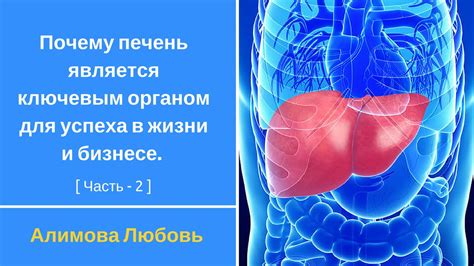 Почему оптимальное количество мероприятий является ключевым для успеха студентов