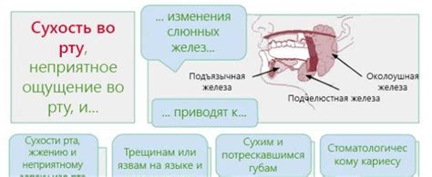 Почему происходит сухость языка?