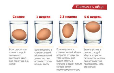 Почему яйцо не ломается