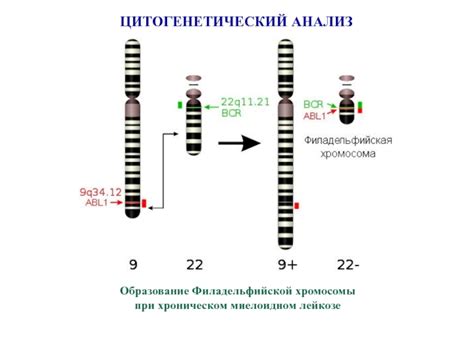 Появление новых мутаций в генах ответственных за цвет глаз