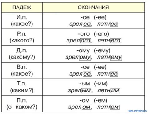 Правила изменения окончаний прилагательных