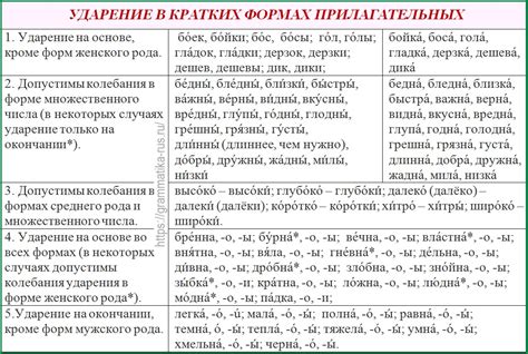 Правила ударения в орфографии