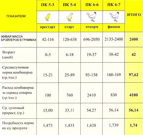 Правильное соотношение кормов при кормлении бройлеров в домашних условиях