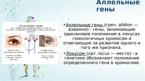 Праворукость: генетика и причины