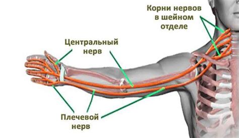 Практичность на левой руке