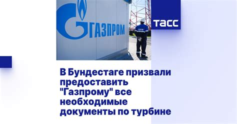 Предоставить все необходимые документы