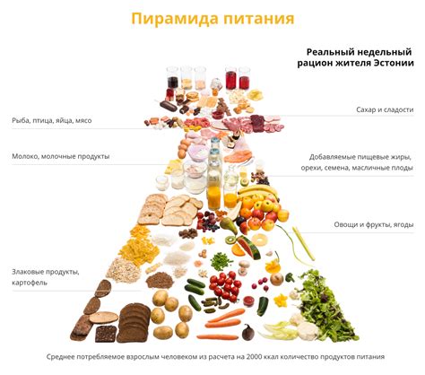 Преимущества питания маленьким порциями