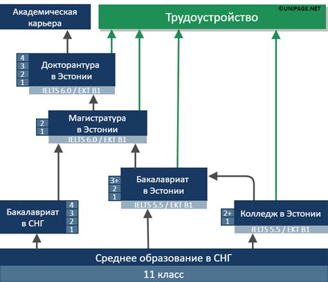 Престижное образование в Эстонии