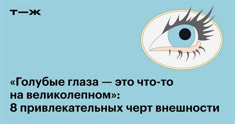 Привлекательные черты его внешности