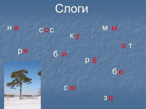 Примеры других слов с разным количеством слогов