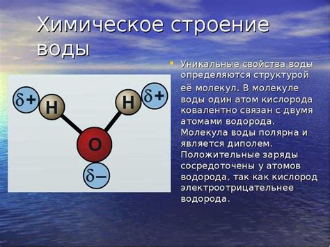 Примеры молекул с разным количеством водородных связей