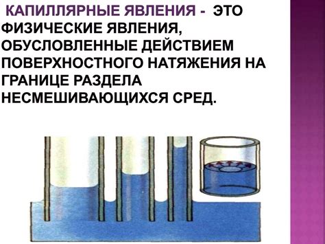 Примеры явления поверхностного натяжения в природе