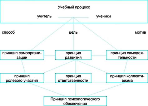 Принципы организации учебного процесса