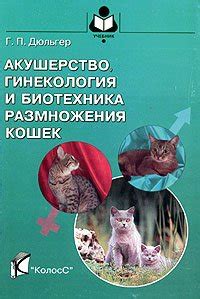 Природа размножения кошек