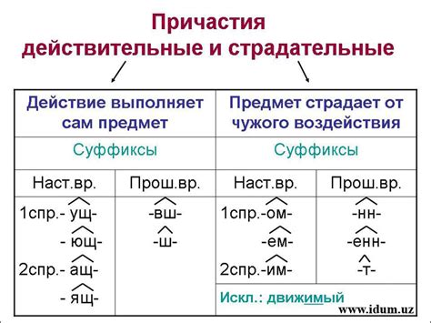 Причастия в русском языке: образование и написание