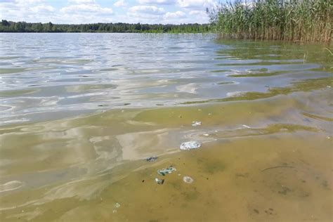 Причина появления зеленой запятой