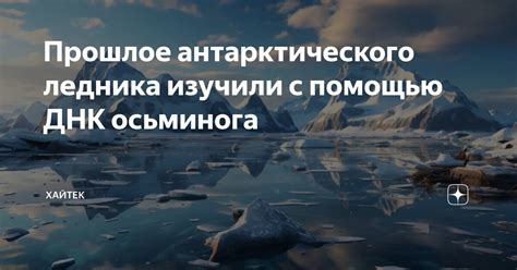 Причина №4: Присутствие антарктического вихря