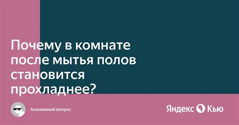 Причины, по которым комната становится прохладней после мытья полов